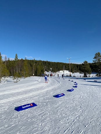 Resultatlister kommer her
